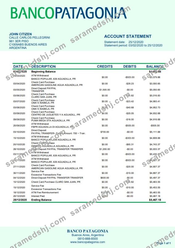 Argentina Banco Patagonia bank statement